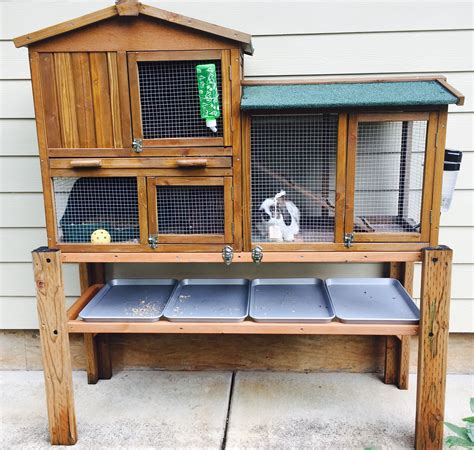 synopsis of the rabbit hutch|More.